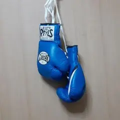2026年最新】ボクシンググローブ reyesの人気アイテム - メルカリ