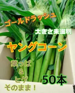 SUGIAYU★クール便送料着払い★葉っぱヒゲ付きヤングコーン200本 SUGIAYU様専用 葉っぱヒゲつきヤングコーン50本 収穫日即日発送 - メルカリ