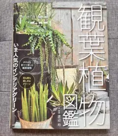 2025年最新】ビカクシダ 本の人気アイテム - メルカリ