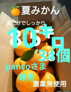 ☆【pancoさま専用】すっぱ美味しい♪夏みかん 34個 10キロ