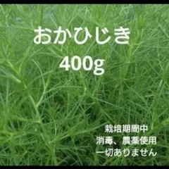 おかひじき 400g 栽培期間中農薬不使用のサムネイル