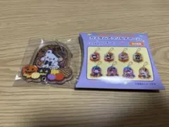サンリオ　カスタムアクリルチャーム　ハロウィーン　はなまるおばけ　まるまる