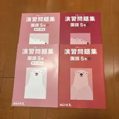 2025年最新】四谷大塚 予習シリーズ 5年国語の人気アイテム