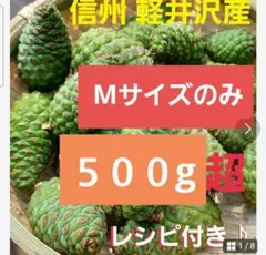 ★季節限定★軽井沢産天然赤松青ぼっくり Mサイズのみ 500g松ぼっくりレシピ付のサムネイル