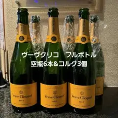 未使用 保管品 ヴーヴクリコ シャンパンケース ボトルケース - メルカリ