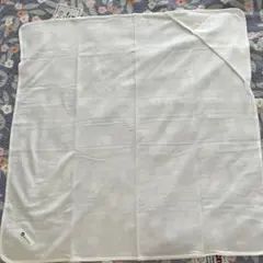 Item thumbnail for item 01876828-01b6-4d00-aa8f-7231349c563d