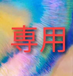 mm様専用ページ スリムウォーク　オールシーズンシアータイツS~M