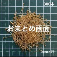 sappi様 リクエスト 2点 まとめ商品