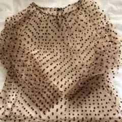 ドット柄シースルーブラウス 長袖 ベージュ
