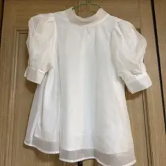 Item thumbnail for item 6cf7d953-2b48-44d0-b0a3-012ea21de56d