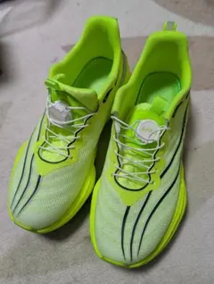 Item thumbnail for item 243b4e0b-2ccf-467d-a973-70caf171f3a2