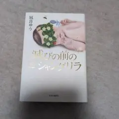 減りの前のミシャンギラ