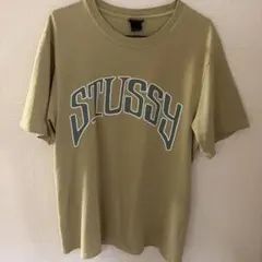 STUSSY Arched Pigment Dyed Teeのサムネイル