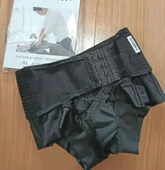 Item thumbnail for item 286be1e6-5063-42d5-9c98-3ee1aef797d8