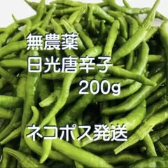 青唐辛子【農薬不使用】200グラム - メルカリ