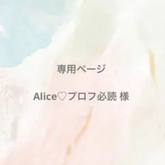 専用ページ❗️ Alice♡プロフ必読 様