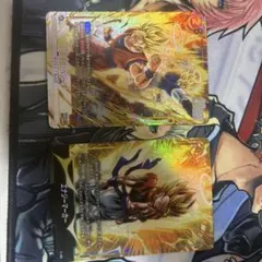 孫悟空/ベジータ　パラレル