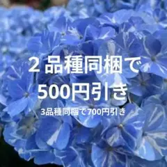 ユーカリ様 リクエスト 3点 まとめ商品