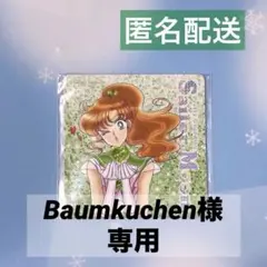 明治×「美少女戦士セーラームーン」マグネットシート ジュピター/マーキュリー