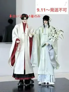 魔法使いの嫁 Favorite リンデルのレイヤードコート アウター - メルカリ