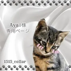 Aya☦︎︎様専用ページ