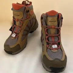 Item thumbnail for item a626d6fd-43ec-41d4-bc83-9842d7c6ffc2