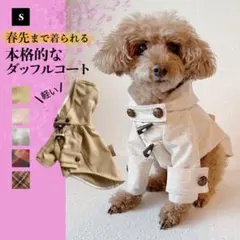 Item thumbnail for item d0a78ecb-dd83-437c-a061-532985fe3969