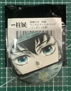 鬼滅の刃　柱展　ランダム　マット缶バッジ 霞柱　時透無一郎