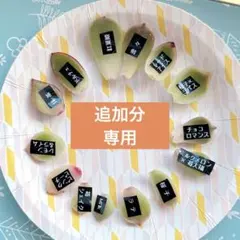 かわいいものだいすき様　追加分　専用