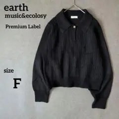 アースミュージックアンドエコロジー レトロ衿ニットプルオーバー　　Fブラック