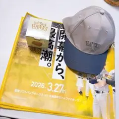 福岡ソフトバンクホークス 開幕シリーズ入場者特典 3点セット　非売品