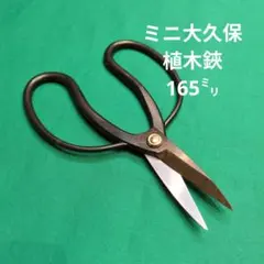 Item thumbnail for item 37143f72-32c6-49d1-887b-4c78bd09411c