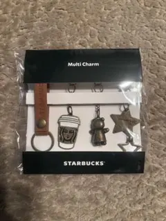 STARBUCKS マルチチャームセット