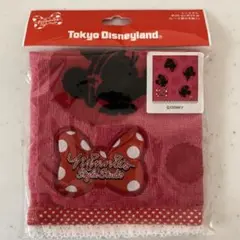 新品未使用　東京ディズニーランド ミニタオル ミニーマウス