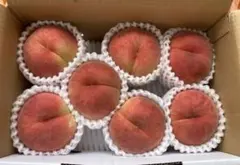 山形県産 減農薬栽培 桃 「なつおとめ」ご家庭用 7玉1