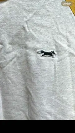 ラグラン Tシャツ