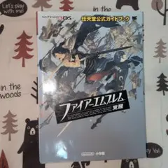 ファイアーエムブレム 覚醒 公式ガイドブック　３DS 初版発行　絶版　希少品