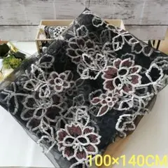 Item thumbnail for item 3886ed72-3bde-43fe-8152-7dba1c09ea71