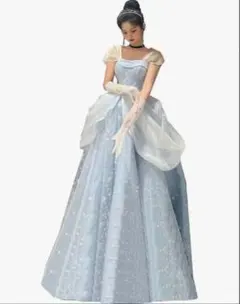 花火様専用 【シンデレラ✨️5点フルセット 即発送 Dハロ】