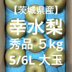 【茨城県産】旬の梨 秀品 10kg 5L以上 大玉 茨城県産】旬の梨 秀品 10kg 5L以上 大玉 - メルカリ