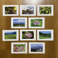 Item thumbnail for item 6f88d306-9997-4821-8b26-b76338b81e84