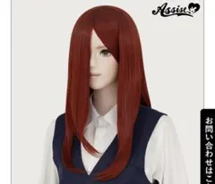 【M様専用】レッドウィッグ1点