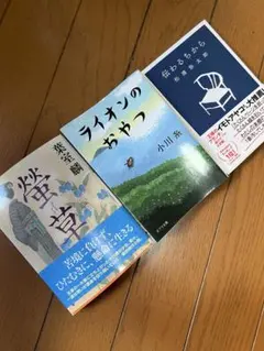 文学小説　3冊　まとめ売り