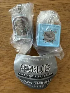 スヌーピーPEANUTS ビスケットミニチュアチャームセット
