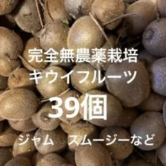 完全無農薬栽培キウイフルーツ