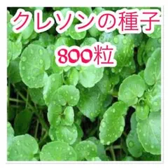 ユパ様 リクエスト 9点 まとめ商品