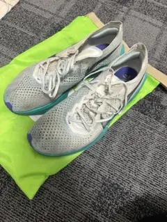 Item thumbnail for item f951293d-b7c9-40b6-9509-5be9153f6c64