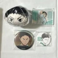 ハイキュー岩泉一