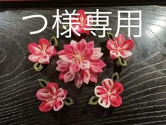 Item thumbnail for item 4a182863-4894-4356-8597-5407f5c6bd4f