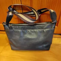 Item thumbnail for item 5a5d6672-6dad-4f1d-aa04-af03756238a7